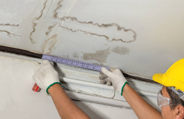 Reliable Structural Drying contractor in Kent City, MI by Water Damage Irwin